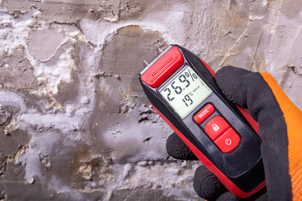 Best HVAC Mold Remediation in Delta, OH