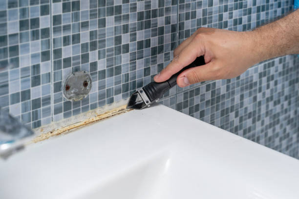 Best DIY Mold Remediation Support Services in Delta, OH